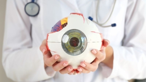 Görme Sağlığının Bekçileri